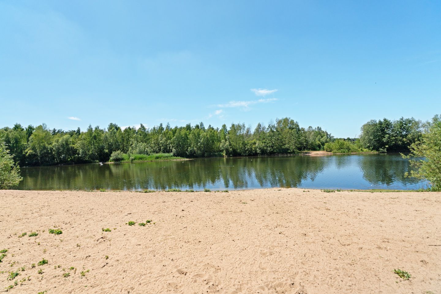 Foto 64 van De Whemedreef 98