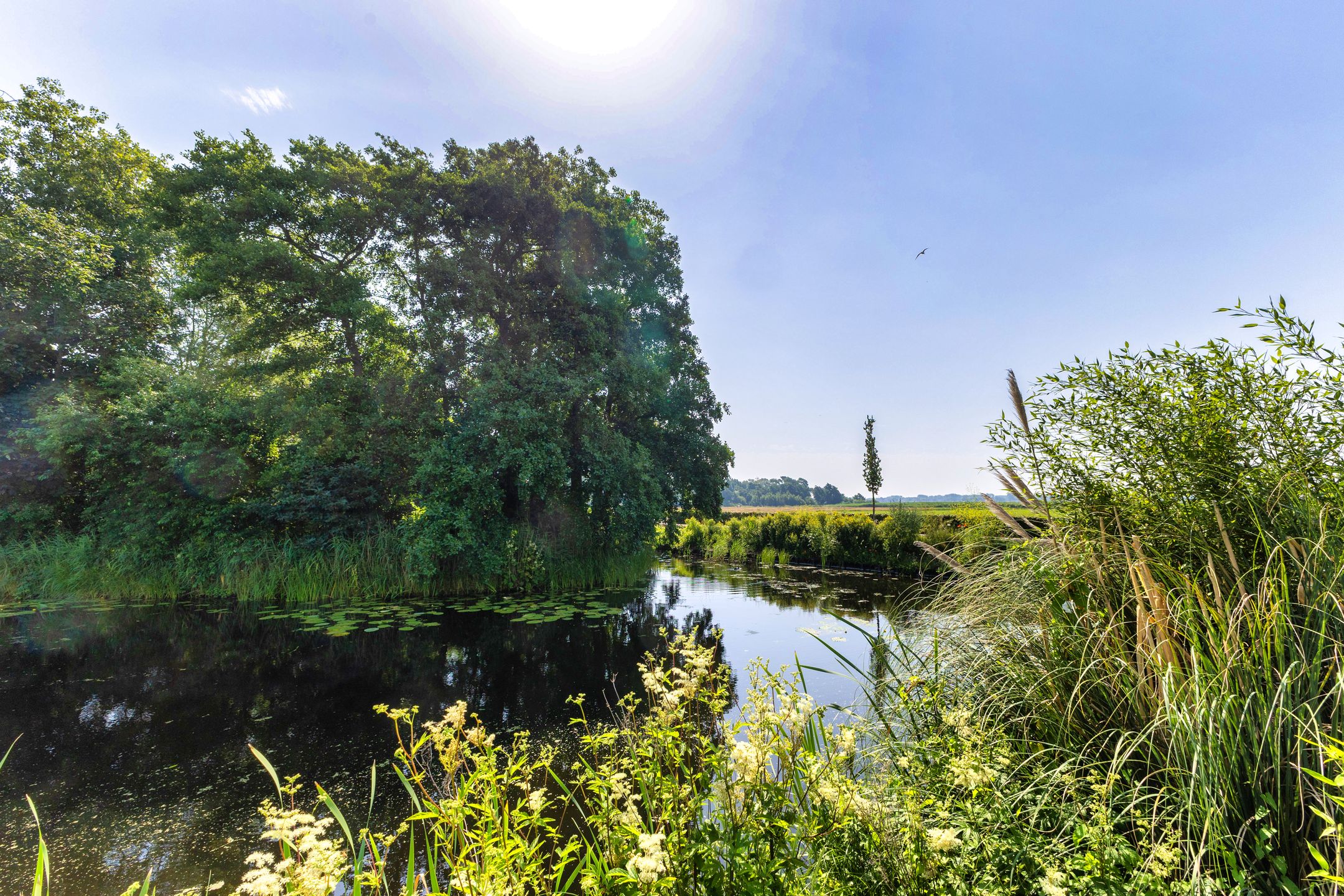 Foto 12 van Jan Roggeveenweg 39