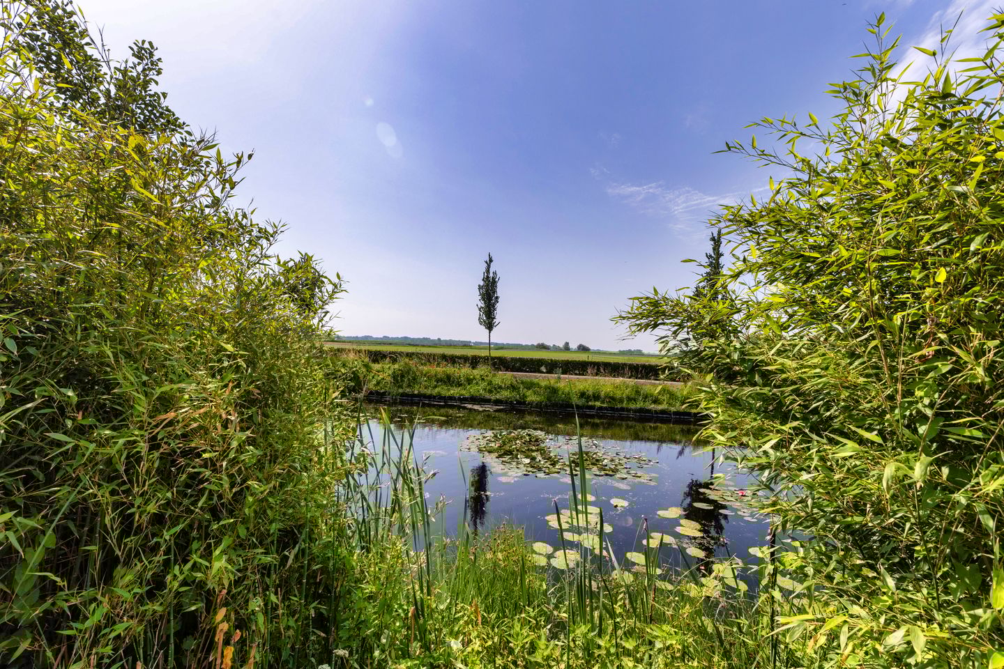 Foto 20 van Jan Roggeveenweg 39