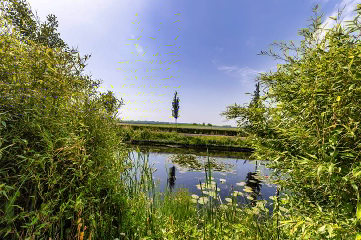 Foto 20 van Jan Roggeveenweg 39