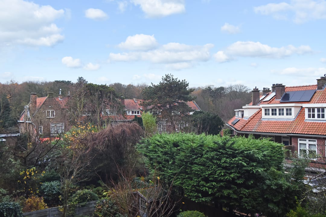 Photo 22 of Laan van Meerdervoort 1535