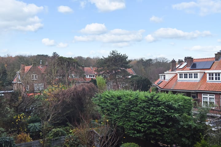 Photo 22 of Laan van Meerdervoort 1535