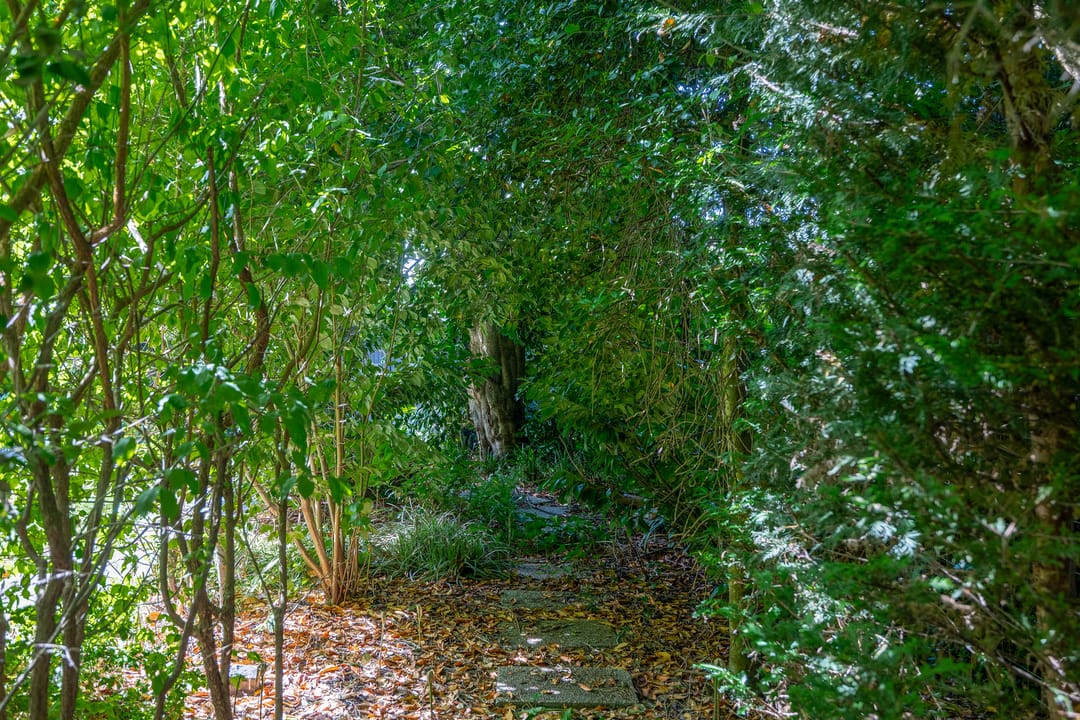 Foto 41 van Lekdreef 13