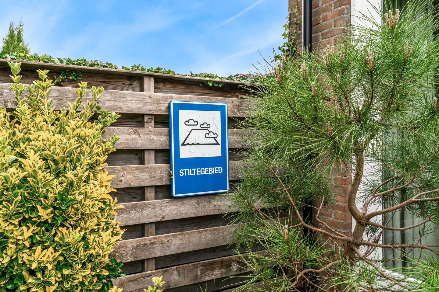 Foto 50 van Schepenen 64