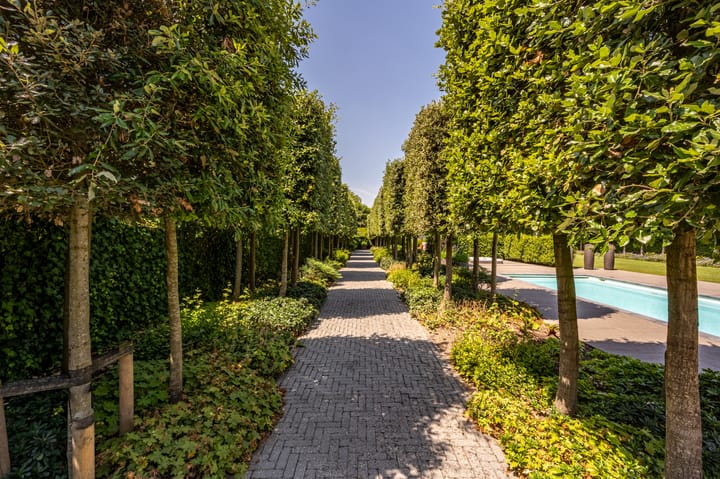 Foto 19 van Jacob van Ettenstraat 4