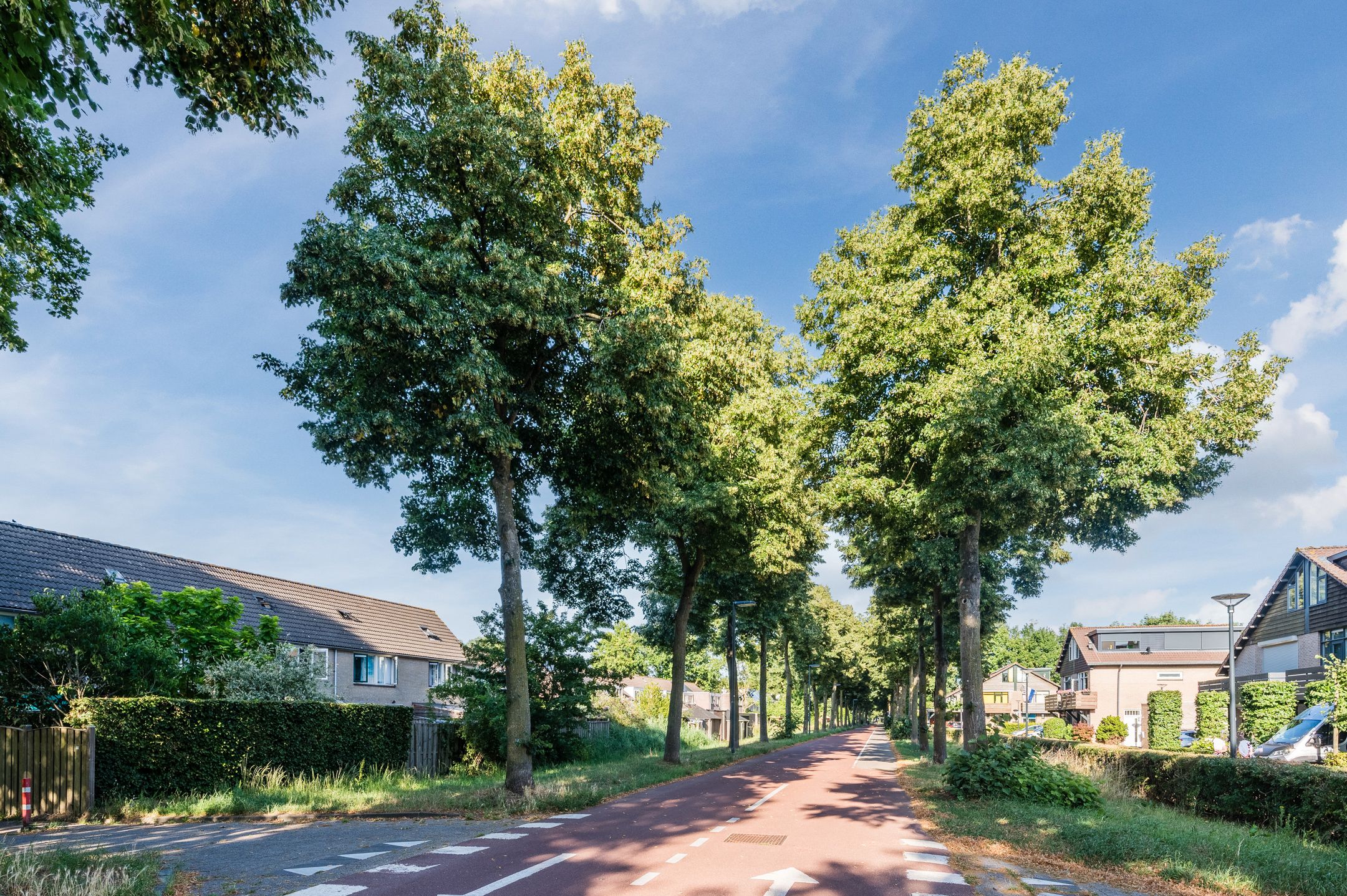 Photo 51 of Klaverbeemd 18