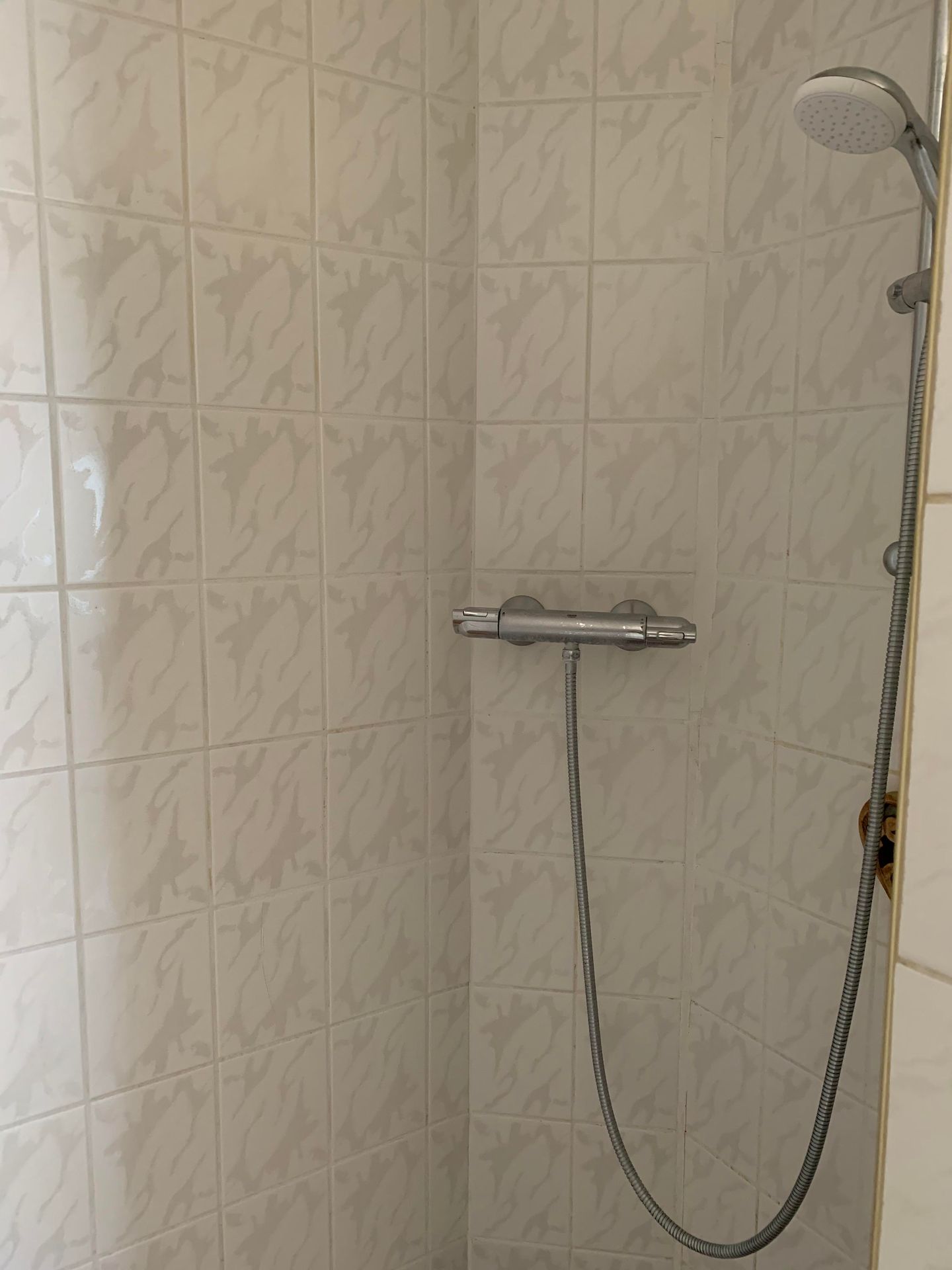 Foto 4 van Asselsestraat 166-A