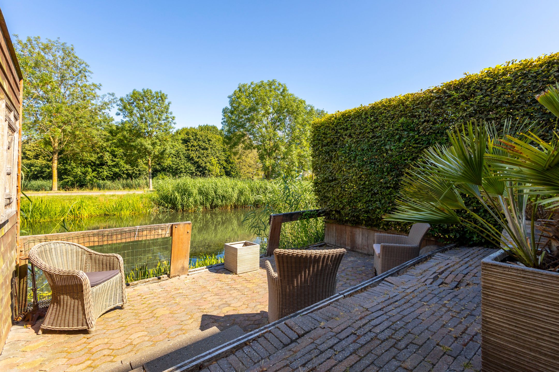 Foto 51 van Jip en Janneke 12