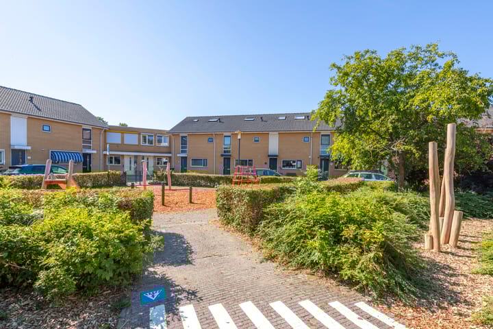 Foto 52 van Jip en Janneke 12