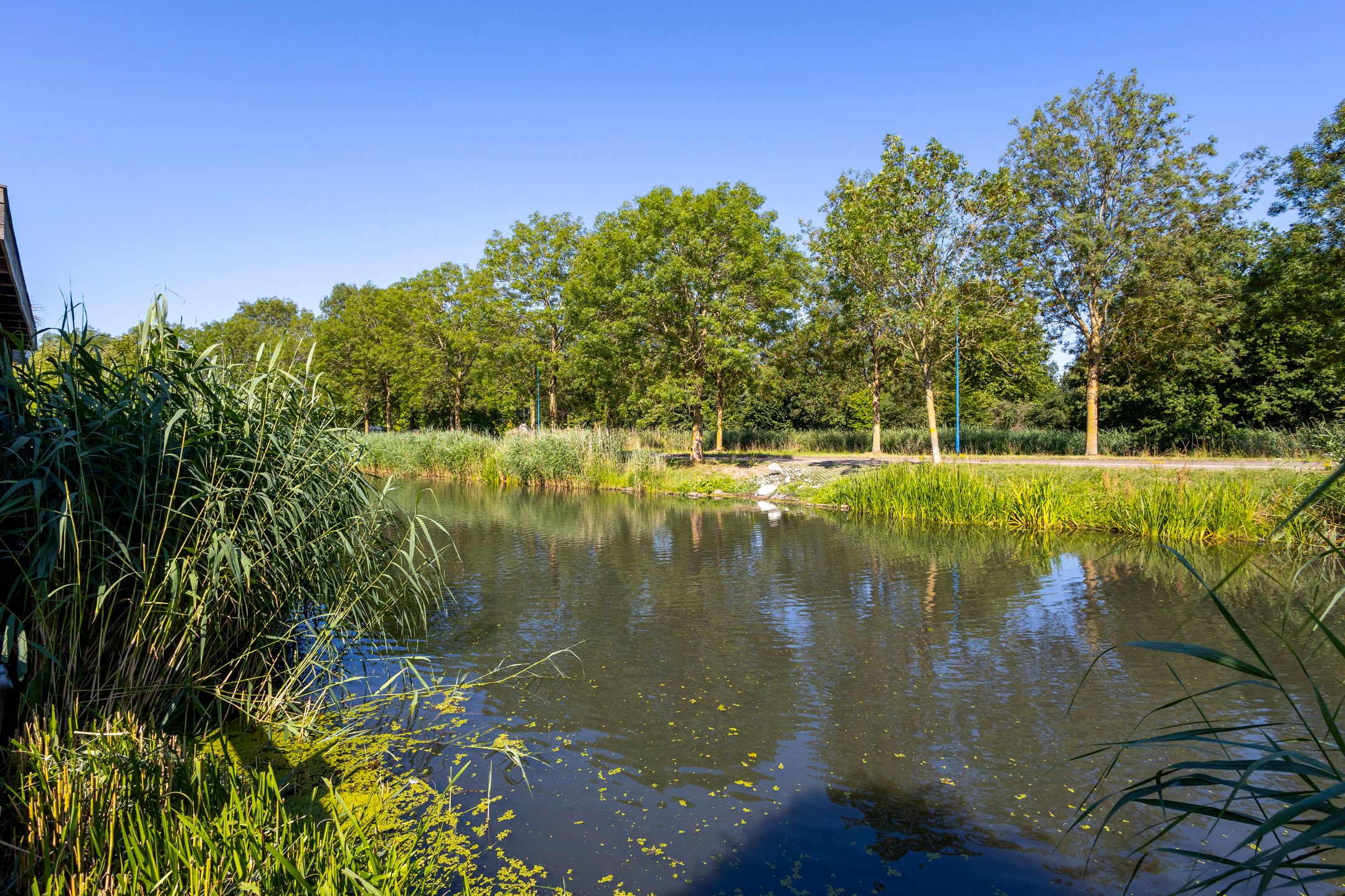 Foto 54 van Jip en Janneke 12