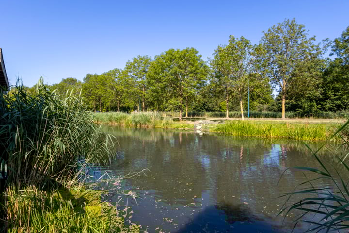 Foto 54 van Jip en Janneke 12