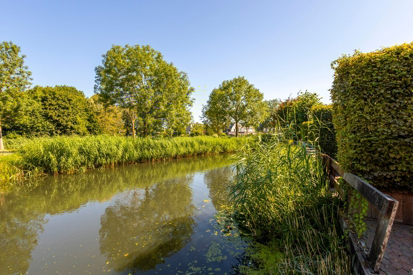 Foto 55 van Jip en Janneke 12