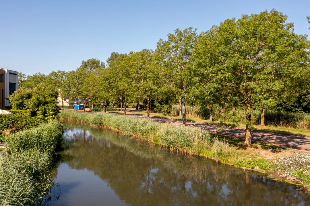 Foto 56 van Jip en Janneke 12