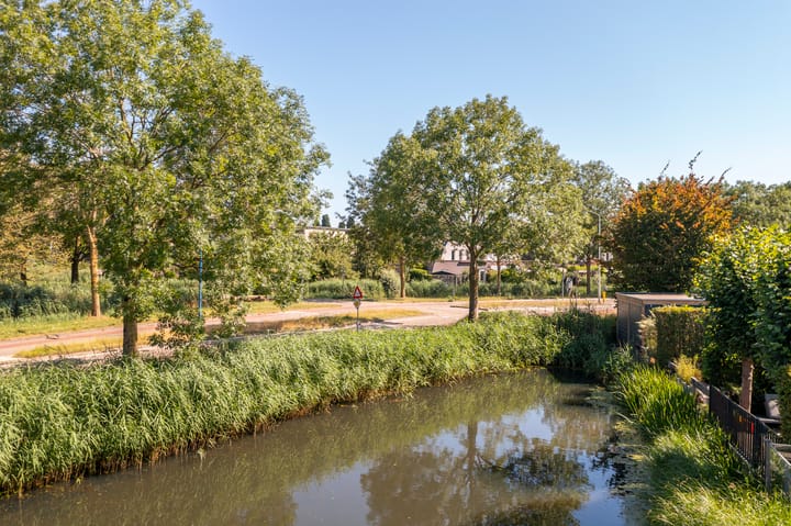 Foto 57 van Jip en Janneke 12