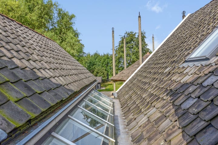 Photo 42 of Haantje 11