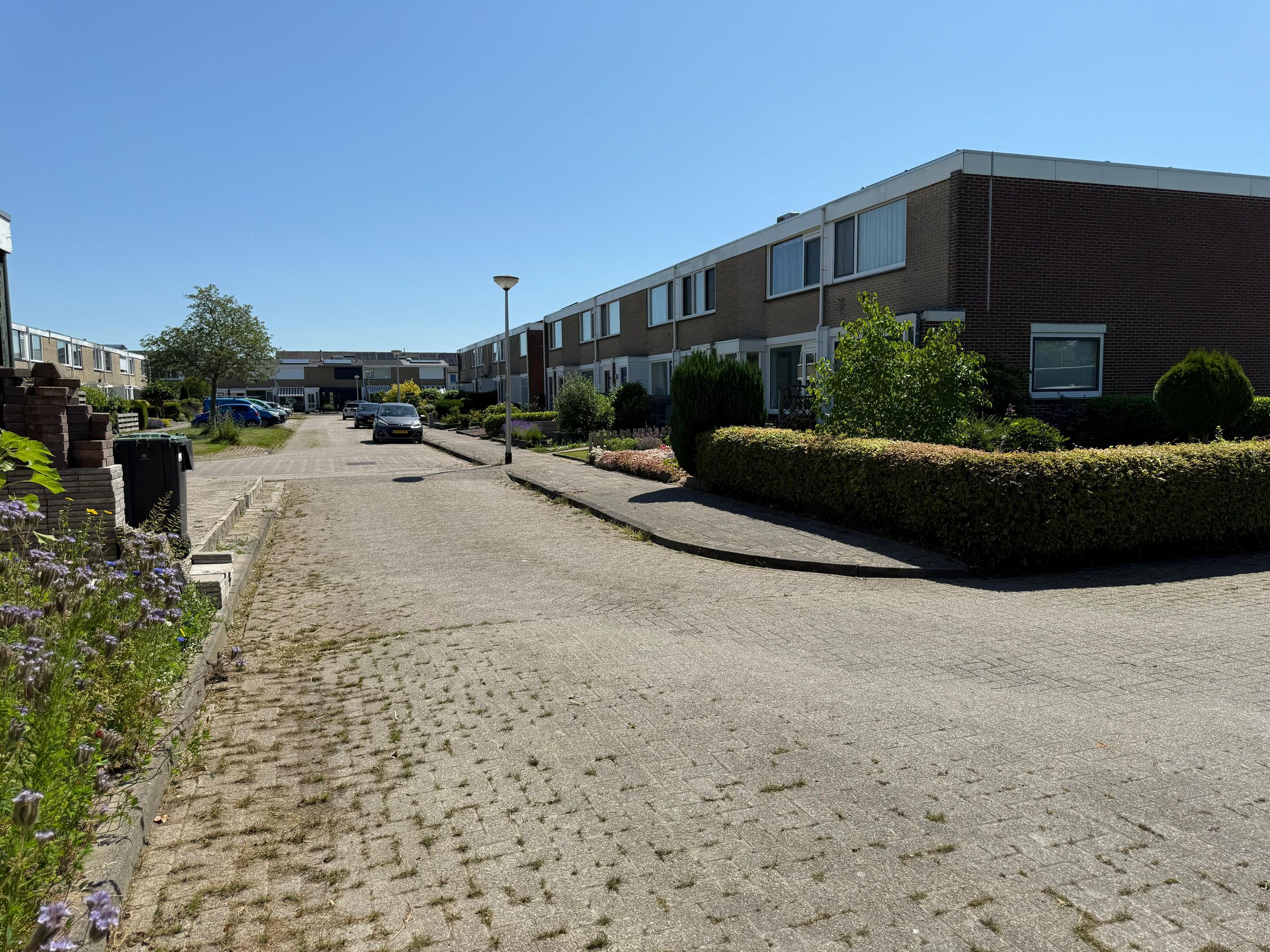 Foto 12 van Vlasakker 7H