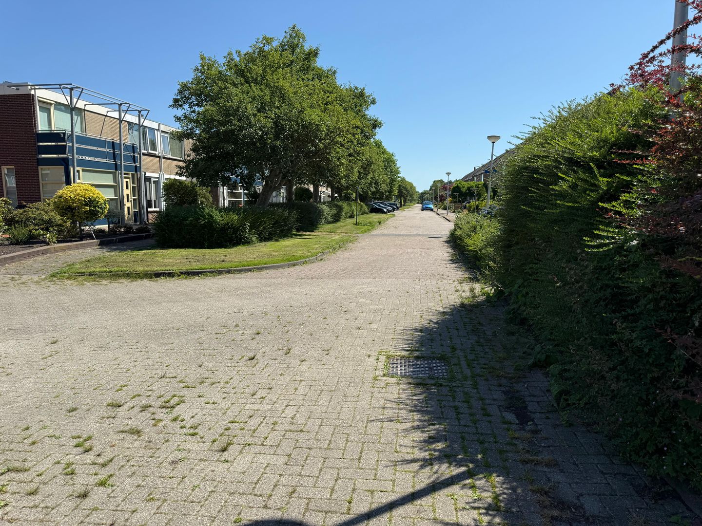 Foto 14 van Vlasakker 7H