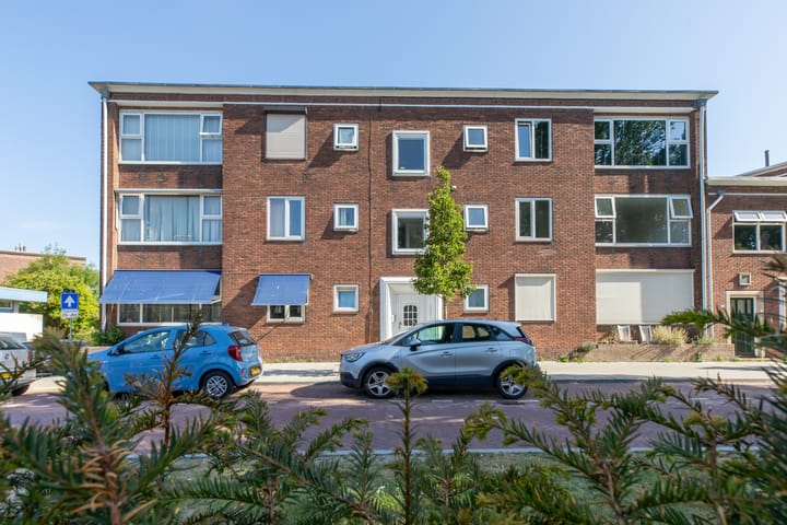 Foto 25 van Singel 113