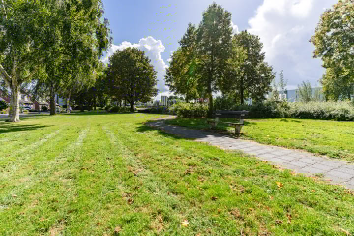 Foto 42 van Begoniastraat 12