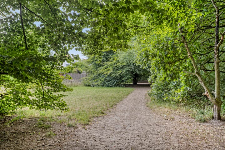 Foto 49 van Walstein 26