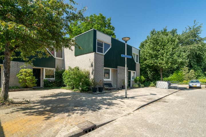 Foto 36 van Montbretiastraat 53