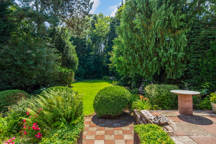 Foto 36 van Papegaaienlaan 2-A