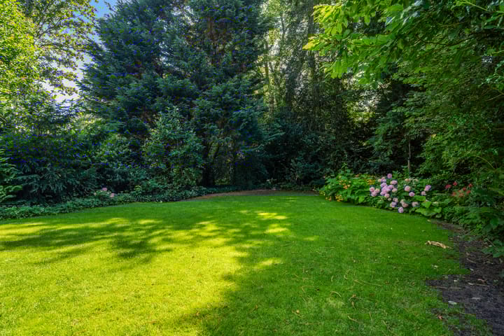 Foto 41 van Papegaaienlaan 2-A