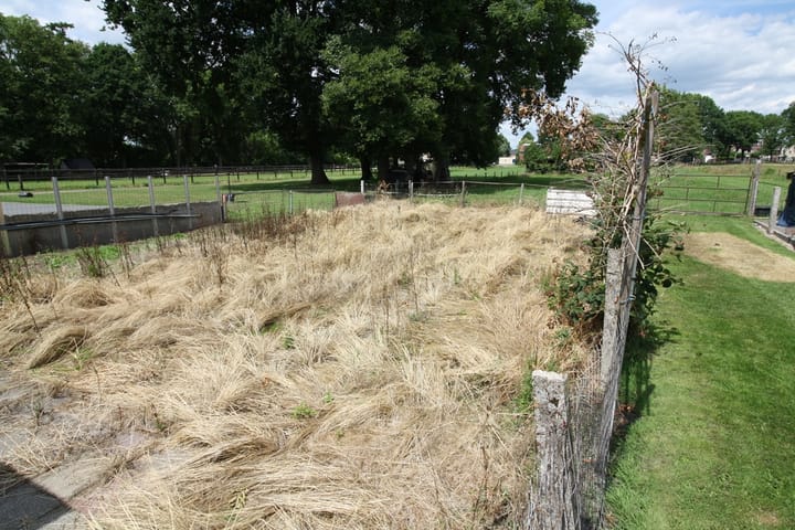 Foto 37 van Westeinde 254