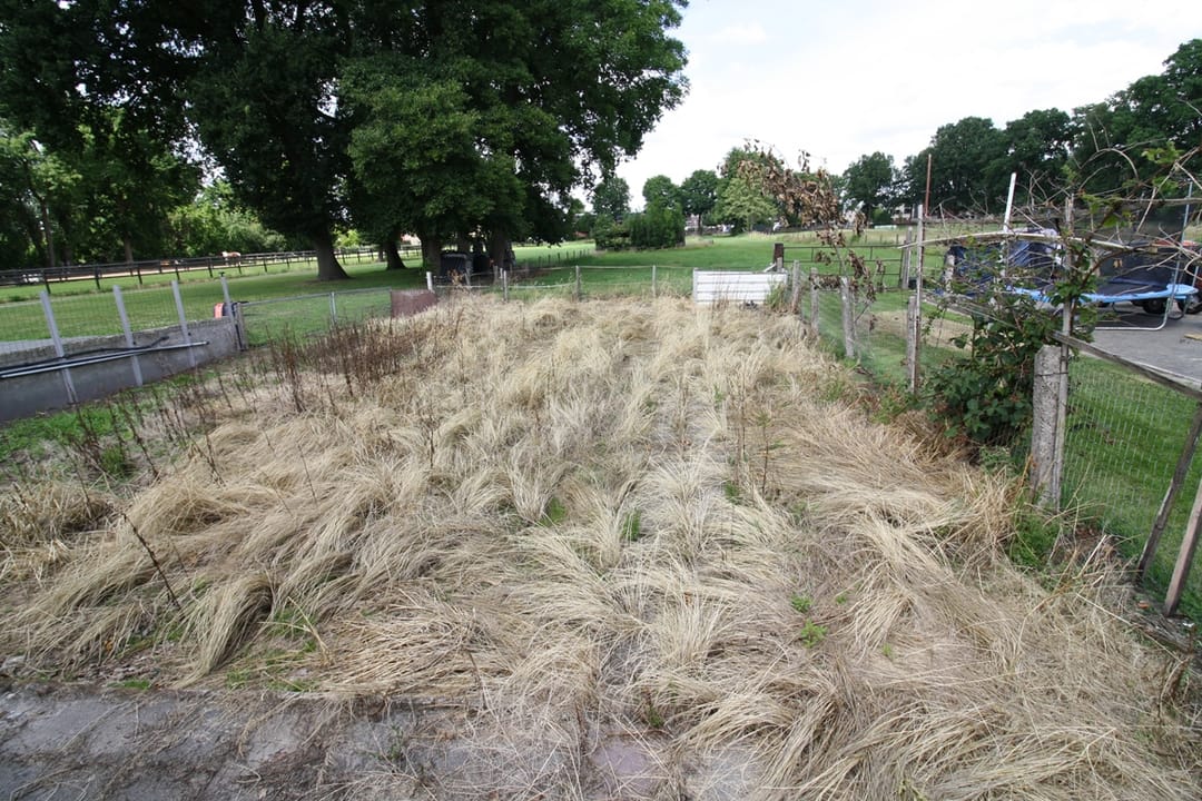 Foto 38 van Westeinde 254