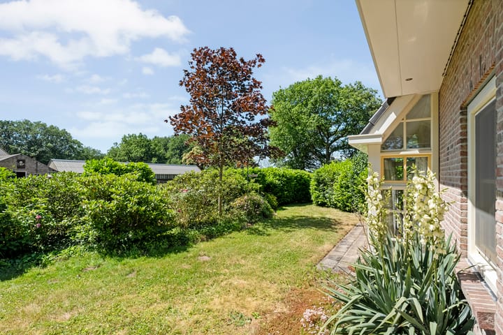 Foto 47 van Anholt 3