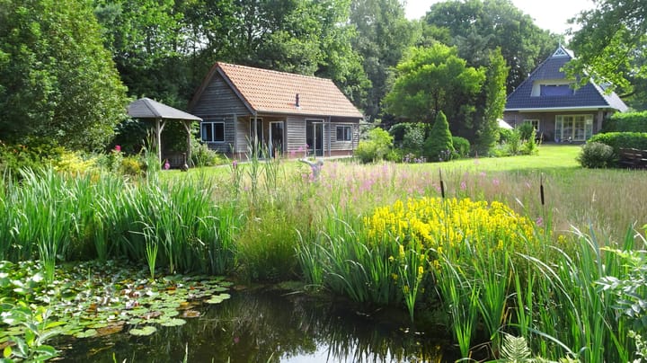 Foto 57 van Anholt 3