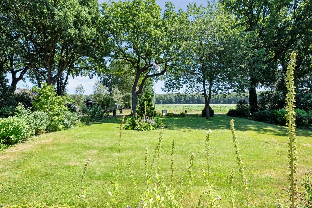 Foto 67 van Anholt 3