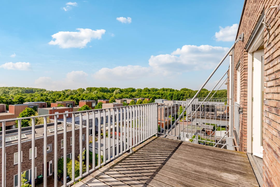 Photo 31 of Grootzeil 39