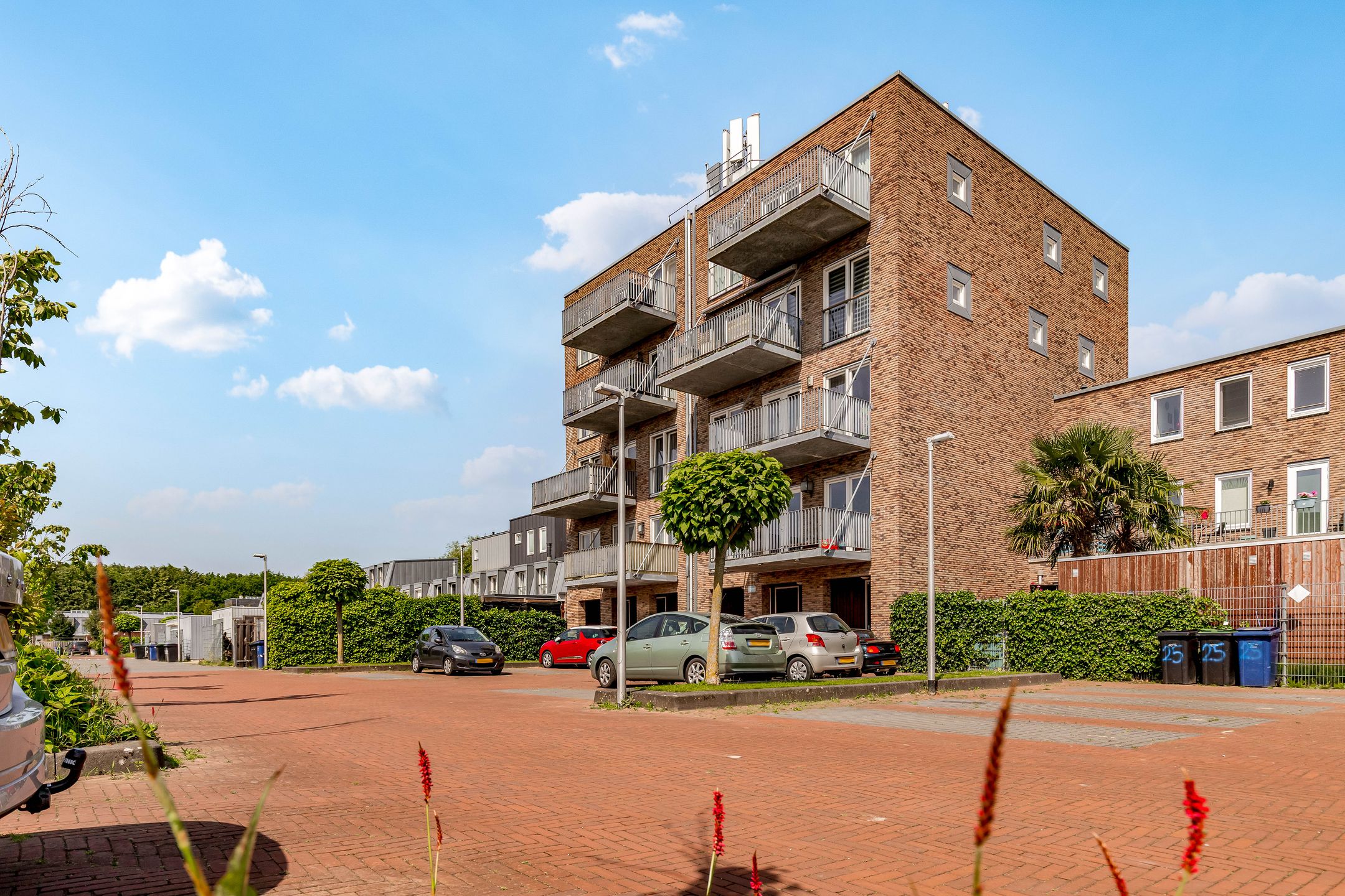 Photo 42 of Grootzeil 39