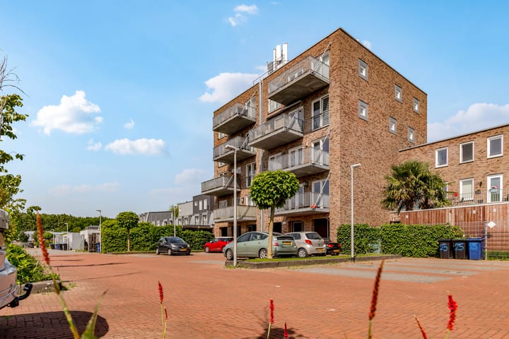 Foto 42 van Grootzeil 39