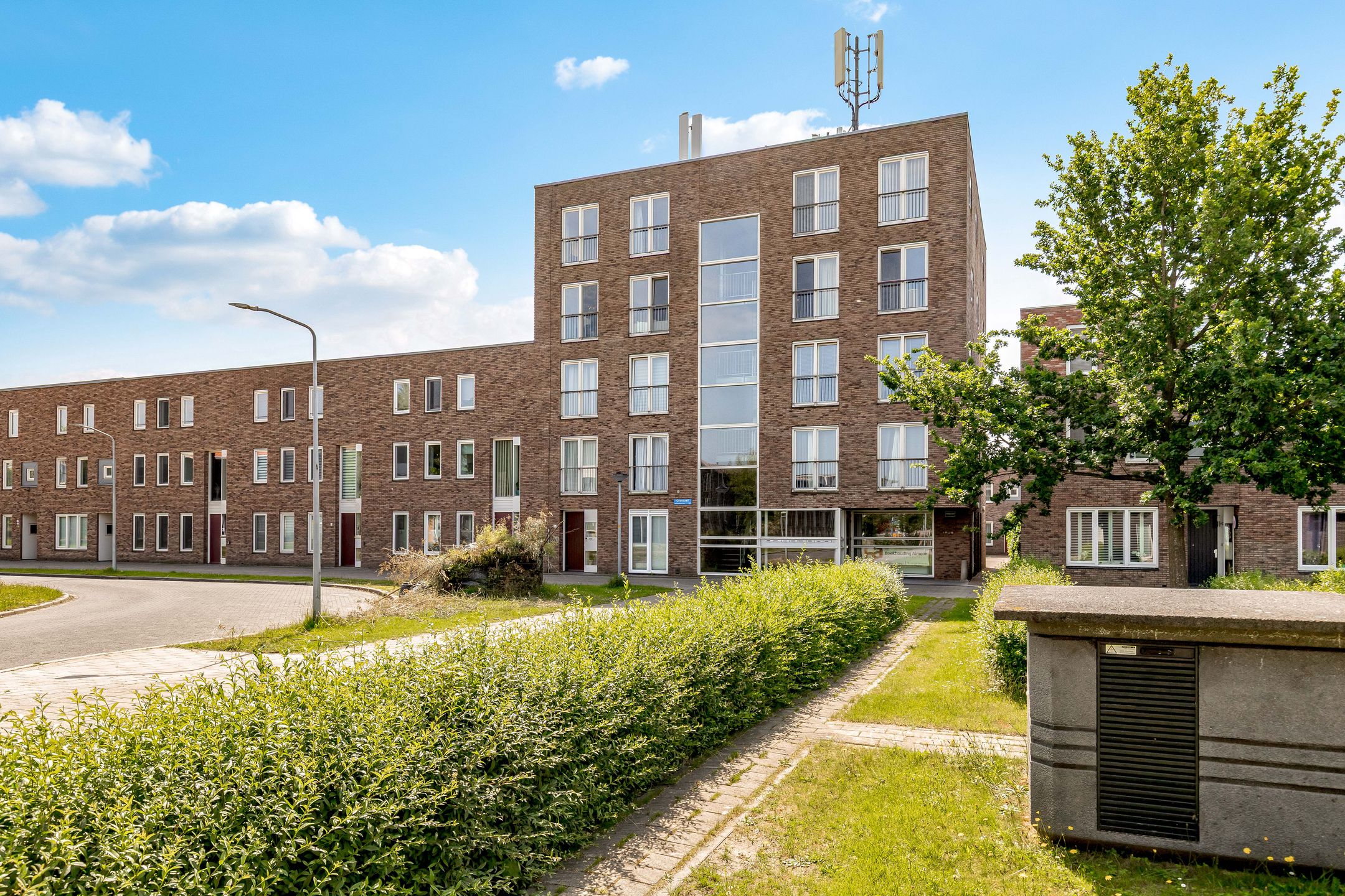 Photo 48 of Grootzeil 39