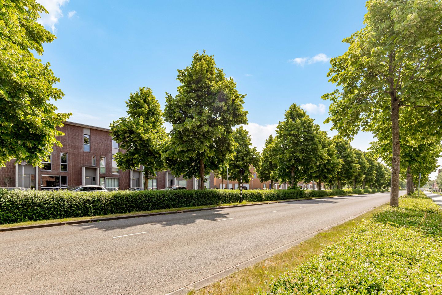 Photo 55 of Grootzeil 39