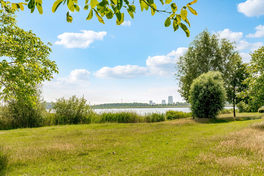 Photo 56 of Grootzeil 39