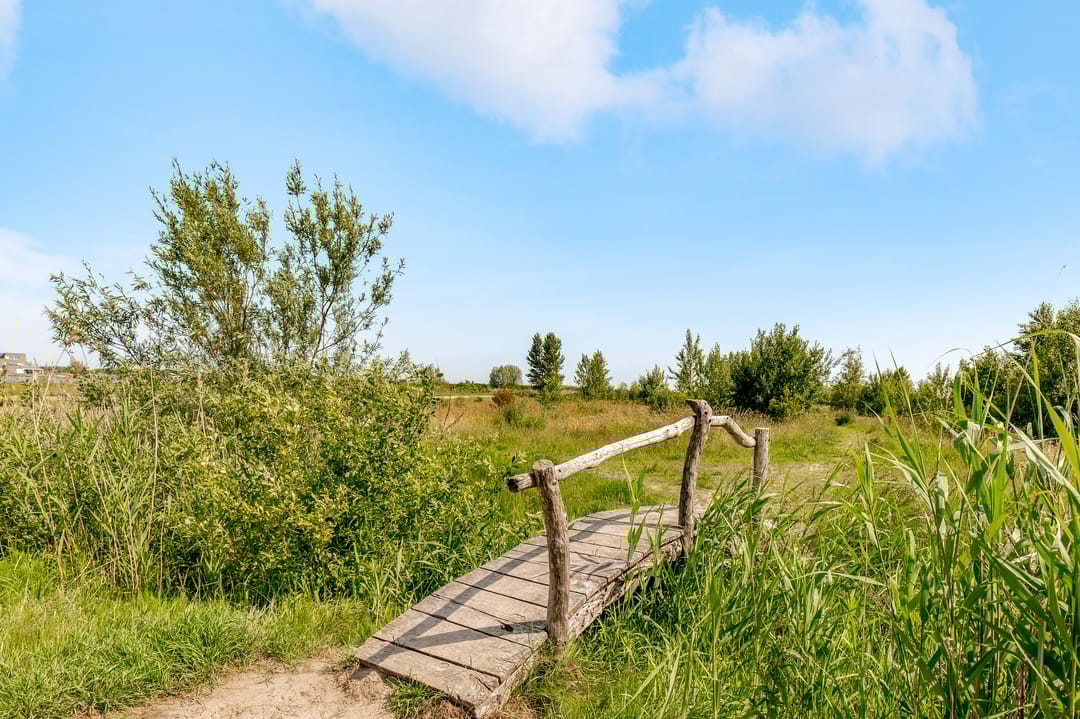 Photo 58 of Grootzeil 39