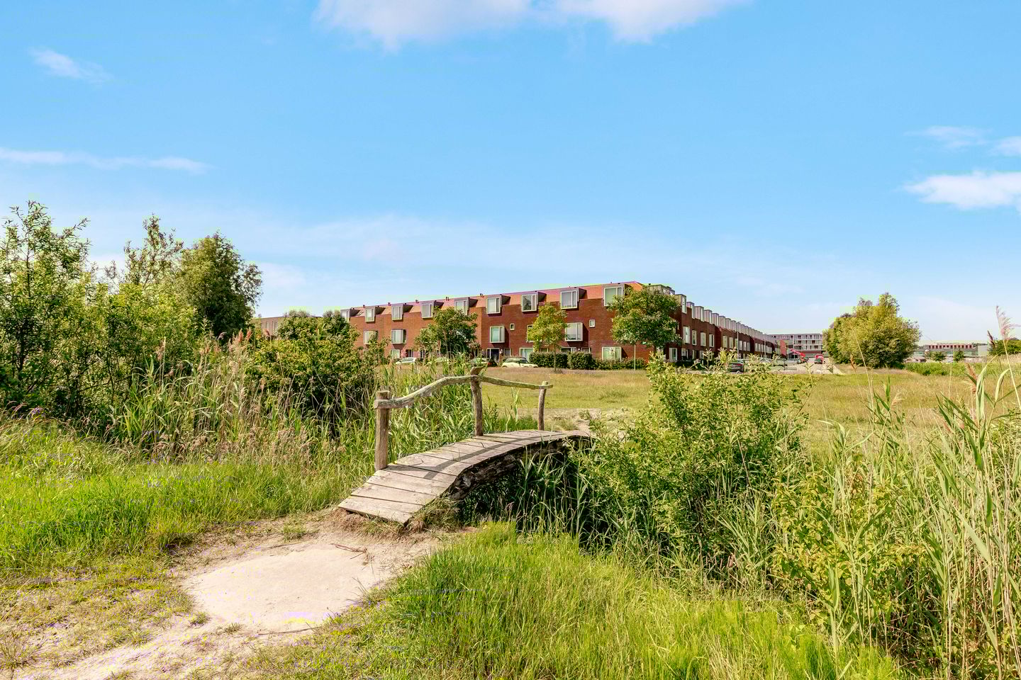 Photo 59 of Grootzeil 39