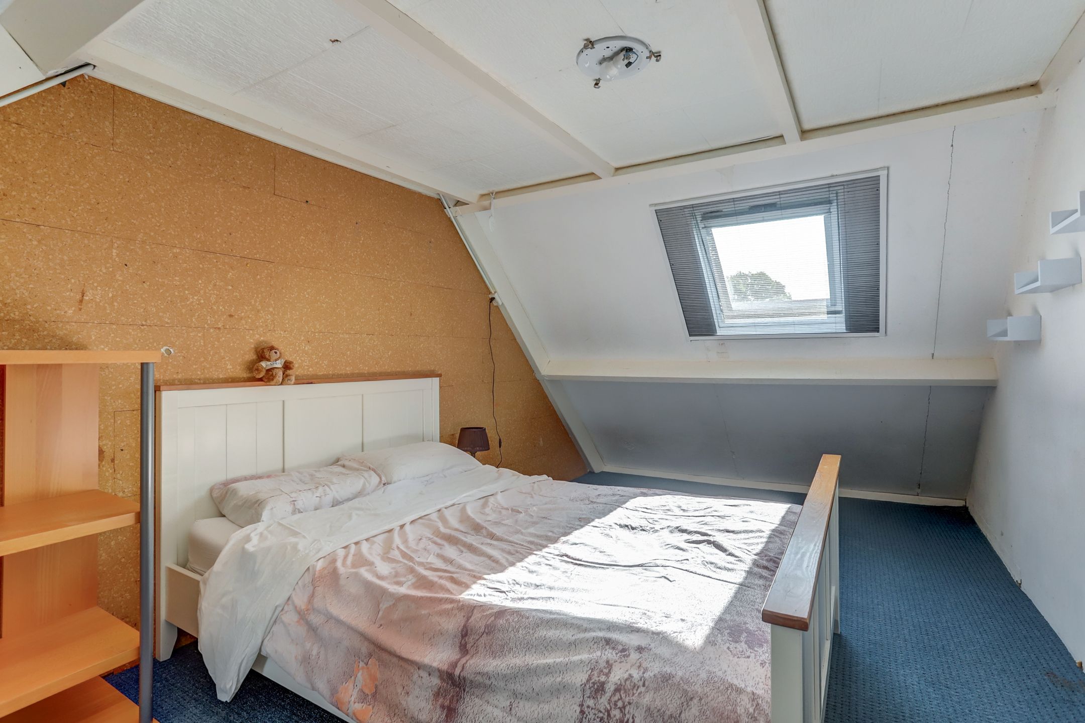 Foto 21 van Europalaan 97