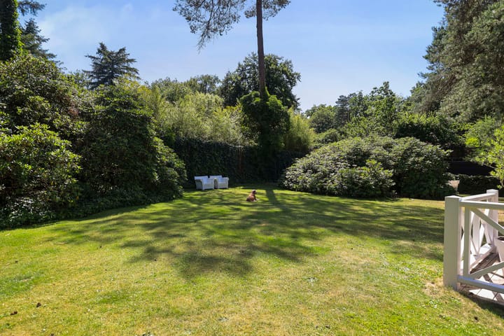 Foto 50 van Wildernislaan 61