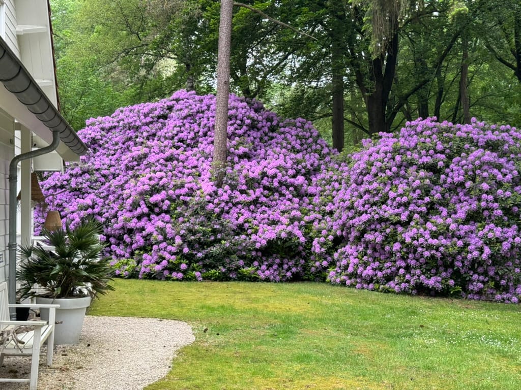 Foto 51 van Wildernislaan 61