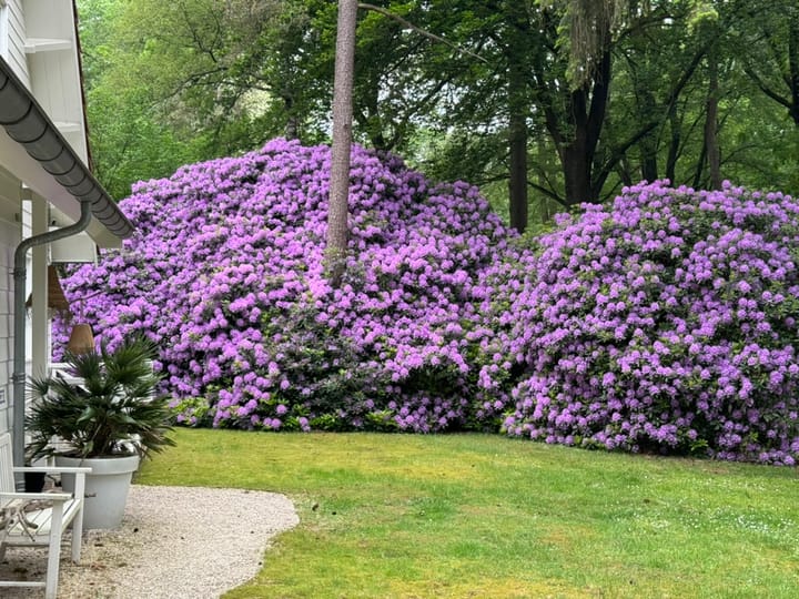 Foto 51 van Wildernislaan 61