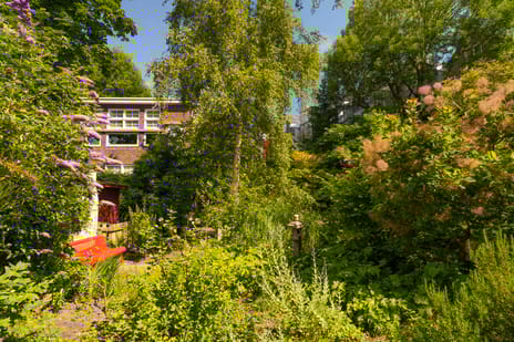 Gouwstraat 47 secondary image