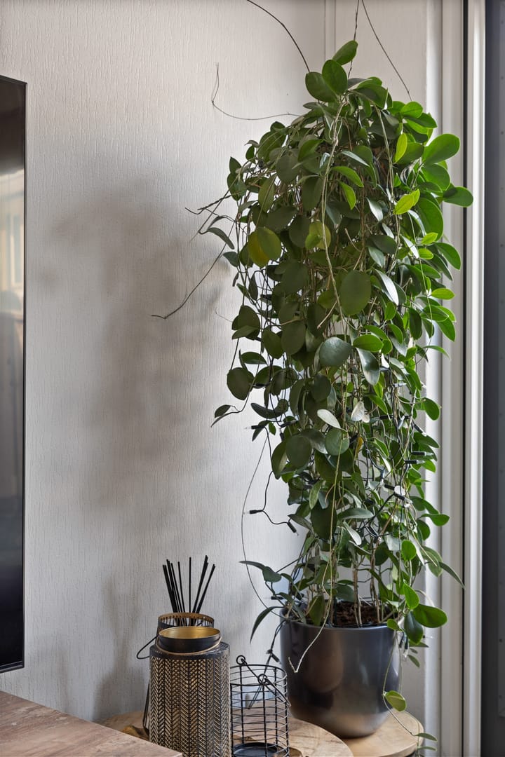 Foto 9 van Woestduijnstraat 73