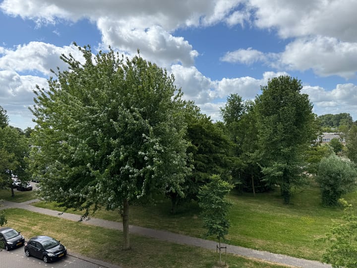 Foto 2 van M.Nijhoffstraat 236