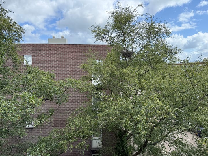 Foto 14 van M.Nijhoffstraat 236