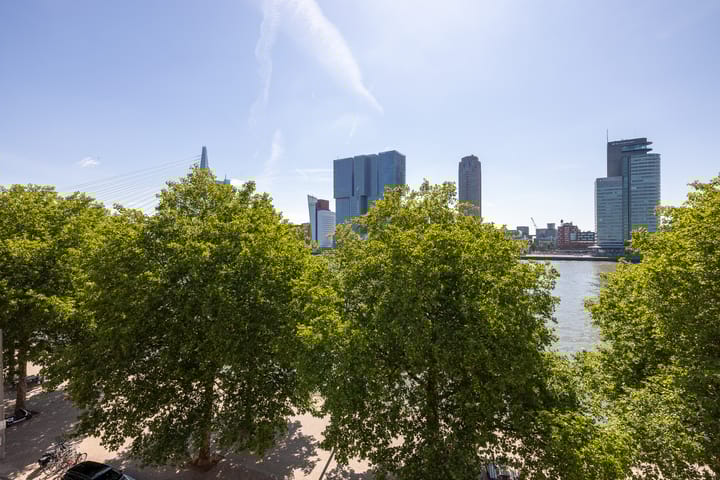 Foto 11 van Willemskade 21-E