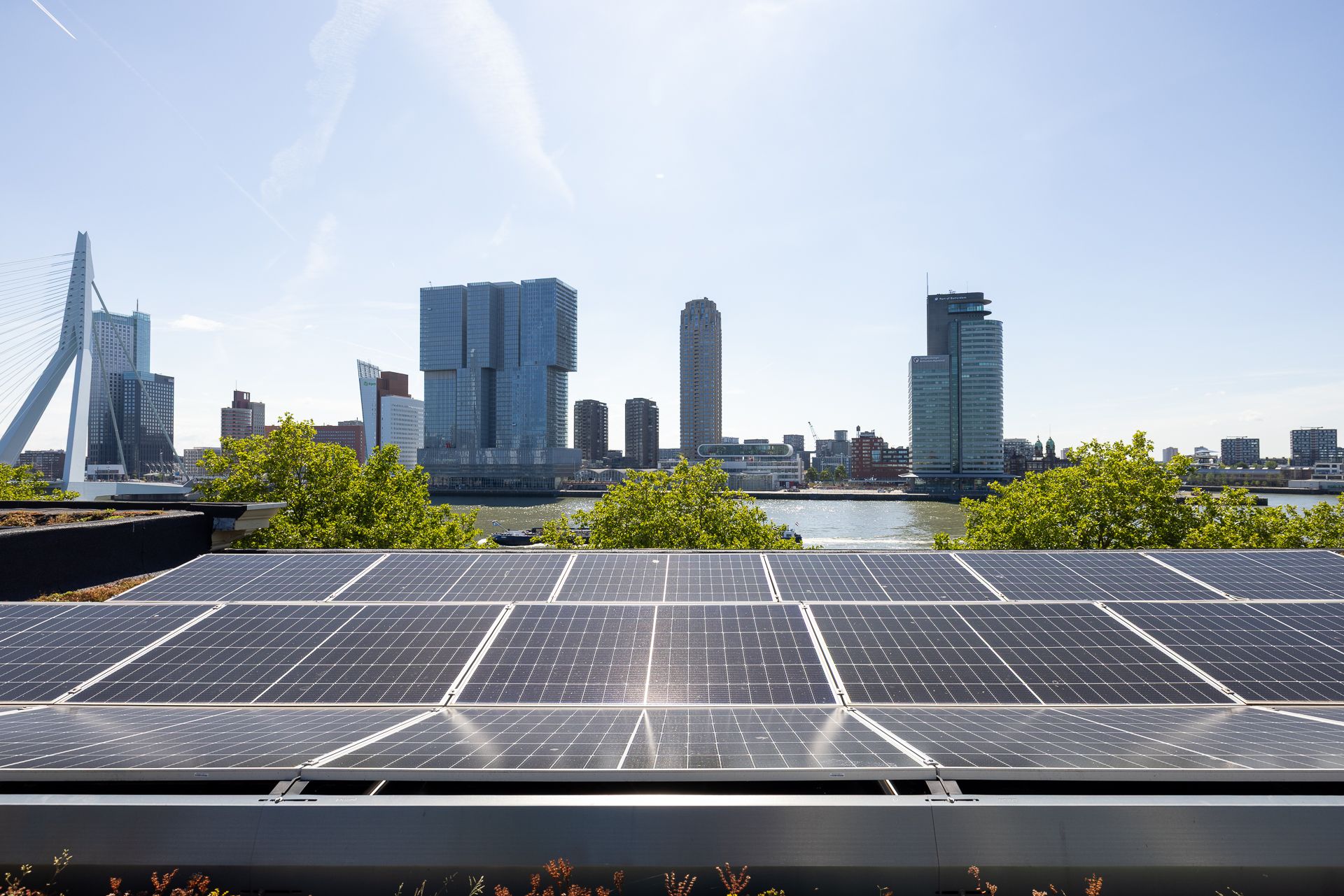 Photo 51 of Willemskade 21-E